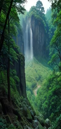 搜索界面，热门搜索词以标签形式排列，下方为结果缩略